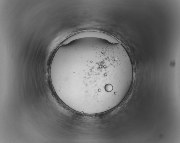 X0000114690245200911181300