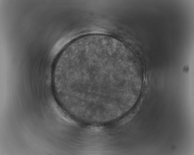 X0000114690247200911181300