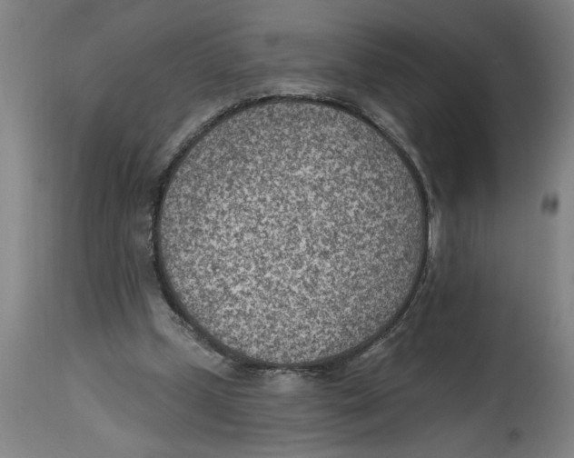 X0000114690249200911181300