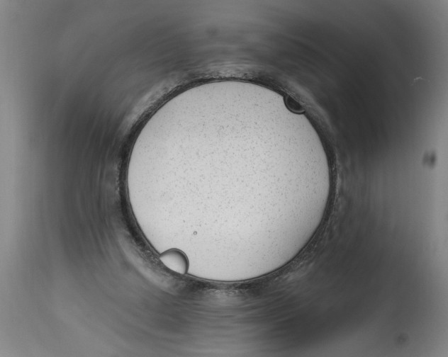 X0000114690250200911181300