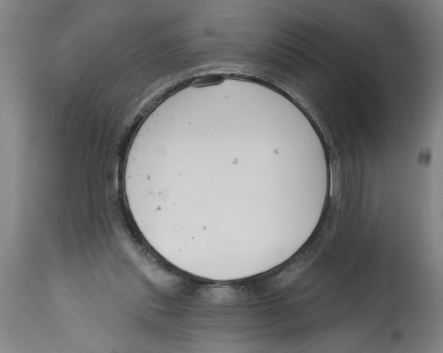 X0000114690253200911181300