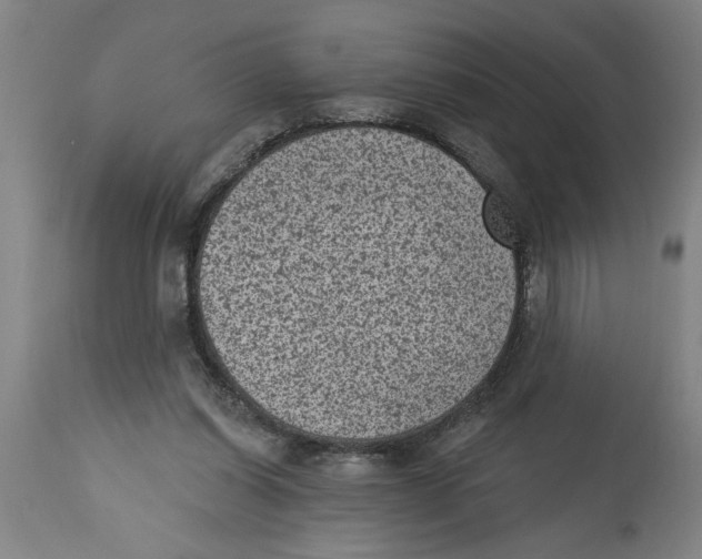 X0000114690254200911181300