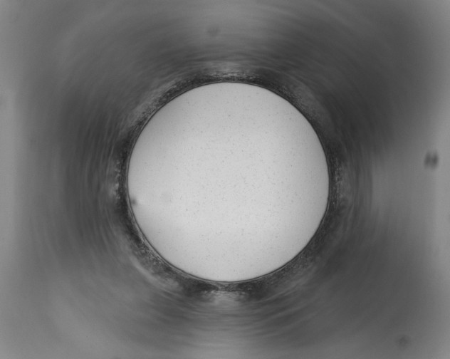 X0000114690255200911181300