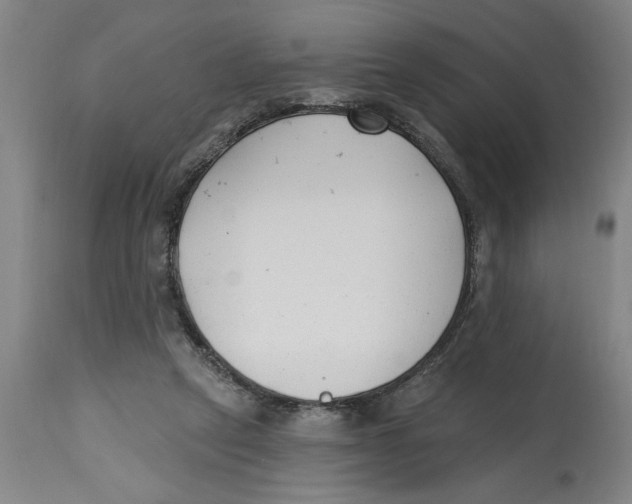 X0000114690257200911181300