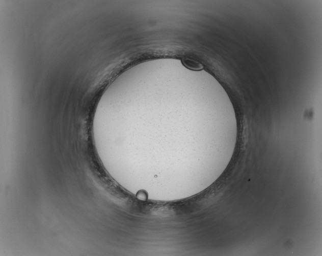 X0000114690258200911181300