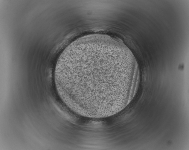 X0000114690260200911181300