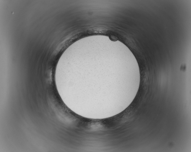 X0000114690262200911181300