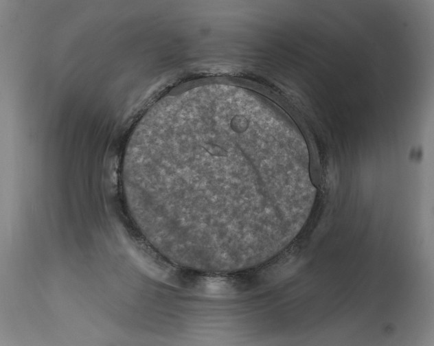 X0000114690264200911181300