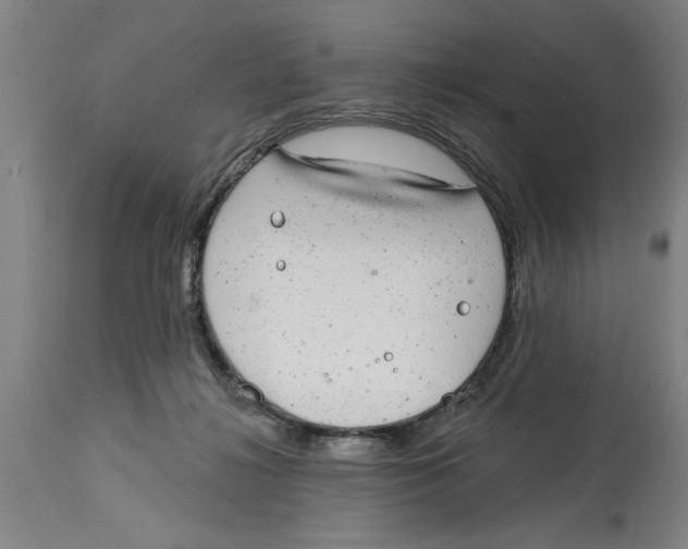 X0000114690268200911181300