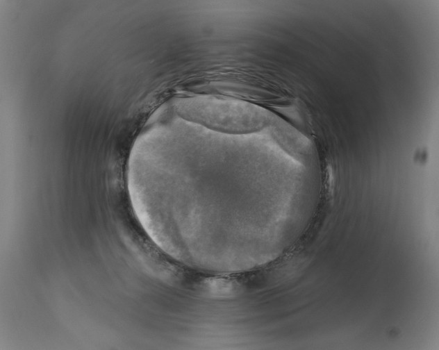 X0000114690272200911181300