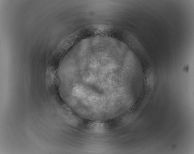 X0000114690276200911181300