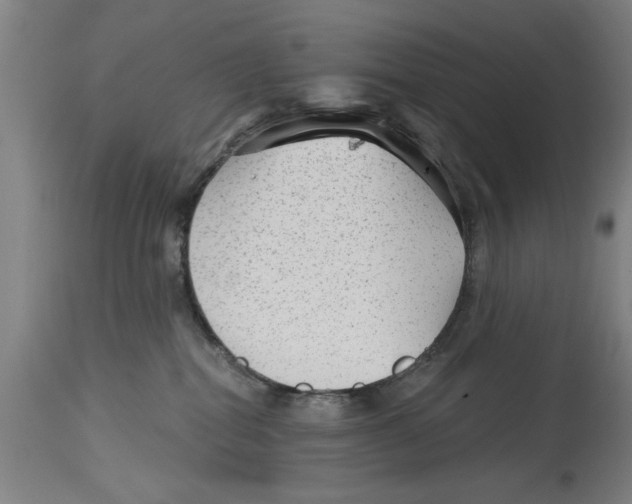 X0000114690282200911181300