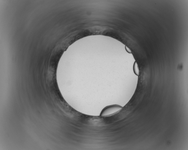 X0000114690283200911181300