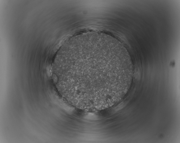 X0000114690285200911181300