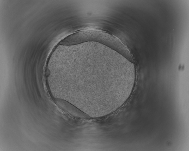 X0000114690289200911181300