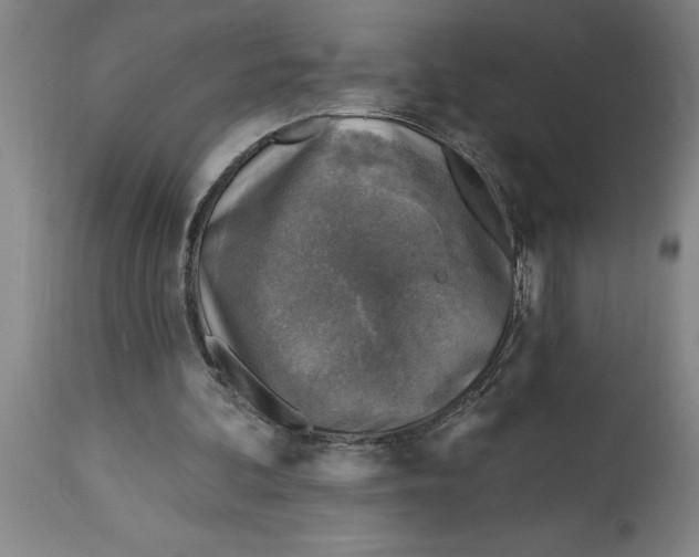 X0000114690292200911181300