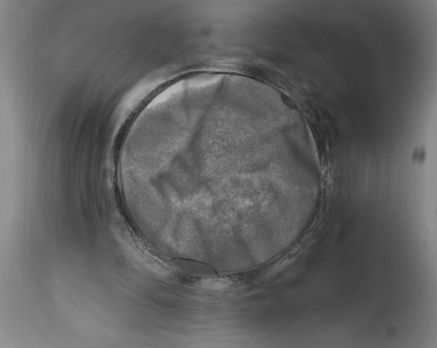 X0000114690294200911181259