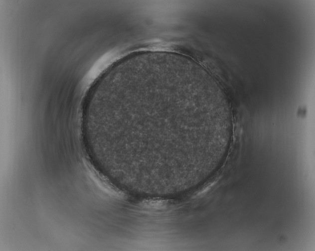 X0000114690295200911181259