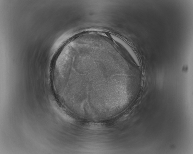 X0000114690296200911181259