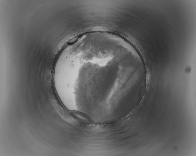 X0000114690297200911181259