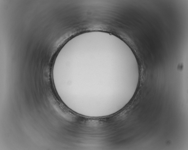 X0000114690298200911181259