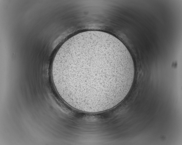 X0000114690299200911181259