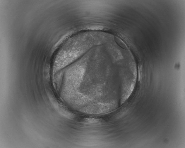 X0000114690300200911181259