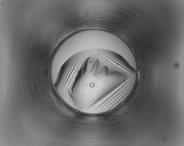 X0000114690301200911181259