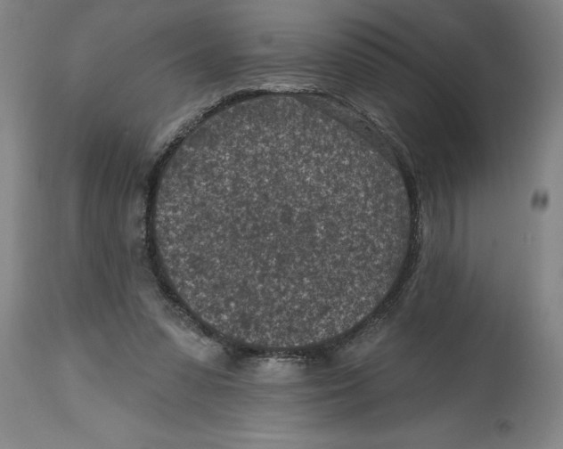 X0000114690303200911181259