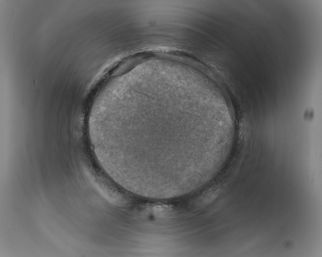 X0000114690304200911181259