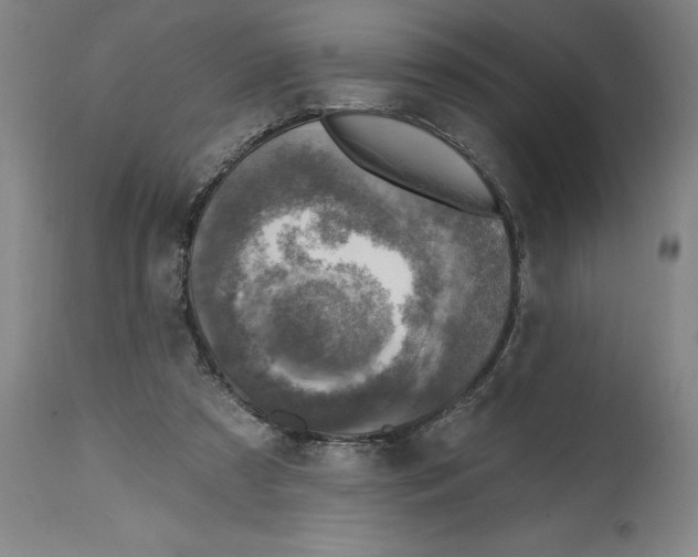 X0000114690305200911181259