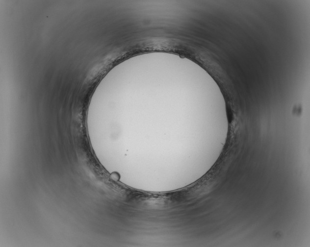 X0000114690306200911181259