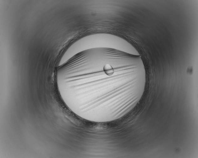 X0000114690308200911181259