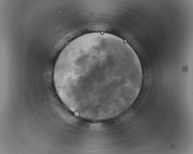 X0000114690309200911181259