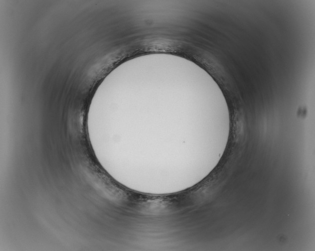 X0000114690310200911181259