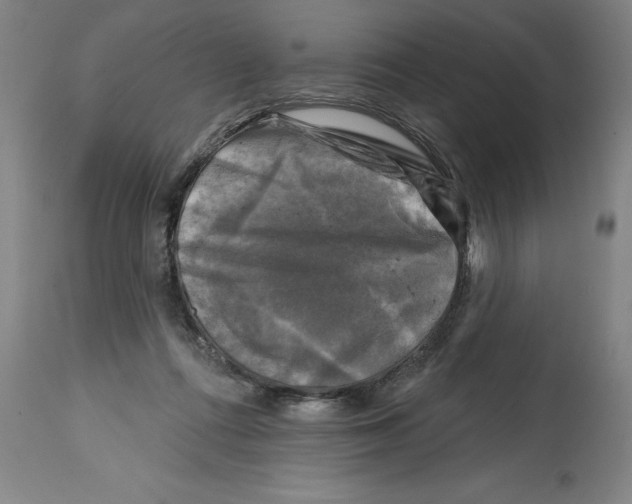 X0000114690312200911181259