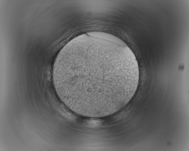 X0000114690313200911181259