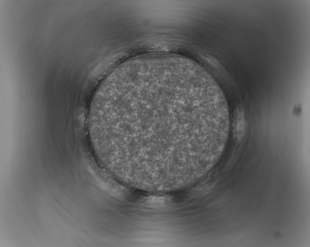 X0000114690314200911181259