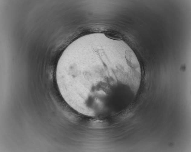 X0000114690315200911181259