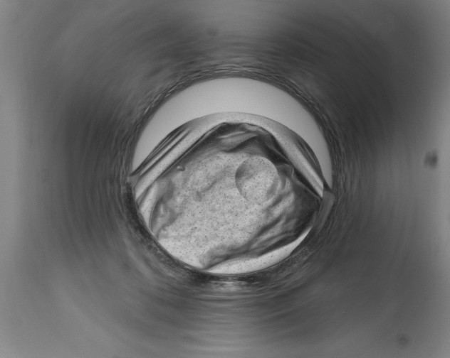 X0000114690316200911181259