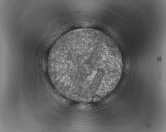 X0000114690317200911181259