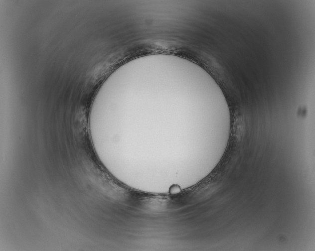 X0000114690318200911181259