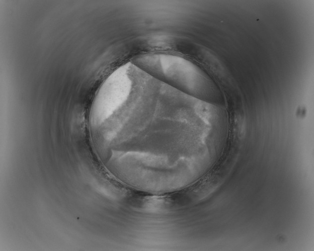 X0000114690320200911181259