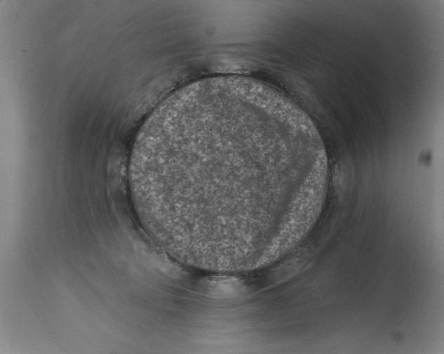 X0000114690322200911181259