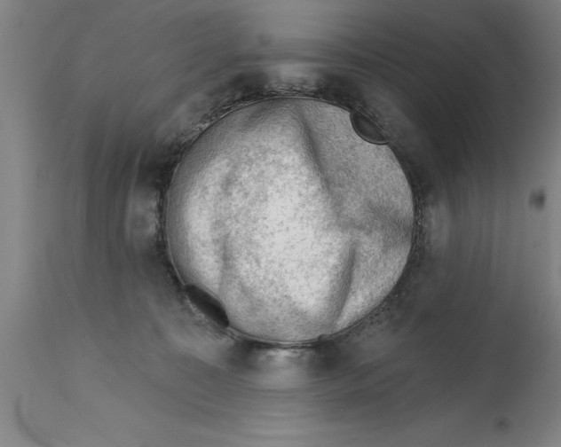 X0000114690323200911181259