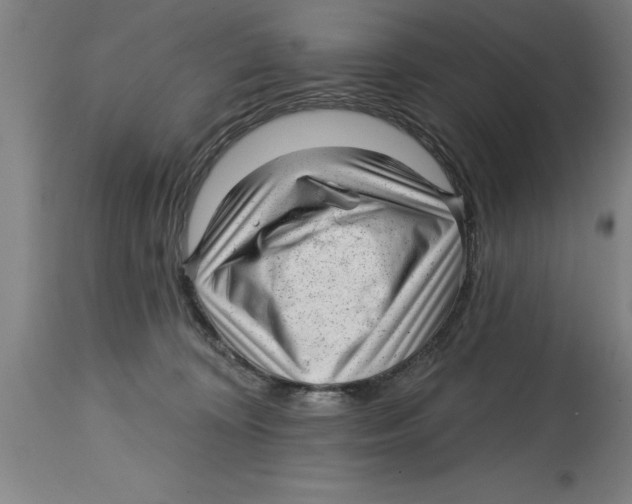 X0000114690324200911181259