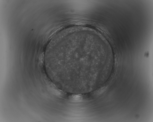 X0000114690325200911181259