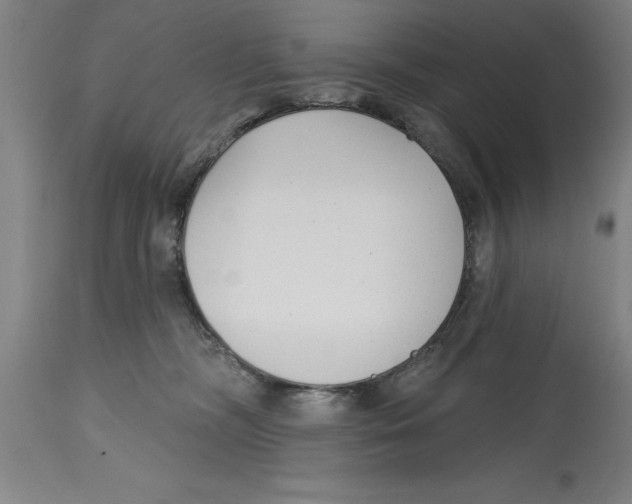 X0000114690326200911181259