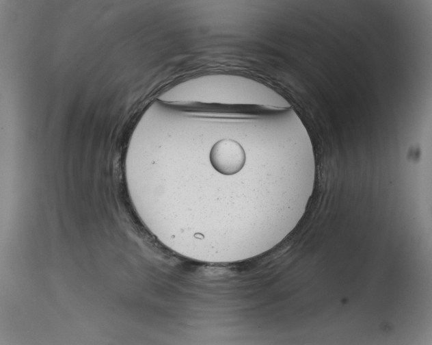 X0000114690327200911181259