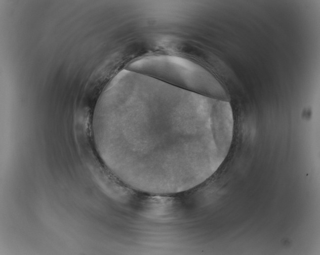 X0000114690328200911181259